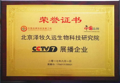 育肥羊飼料報(bào)價(jià)、廠家推薦與技術(shù)轉(zhuǎn)讓全解析