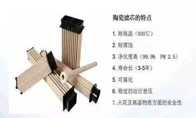 脫硫除塵新技術引領行業變革，東獅公司共襄智慧綠色工廠盛會
